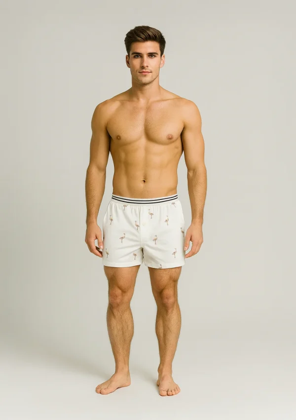 American Eagle Talla L - Boxer
